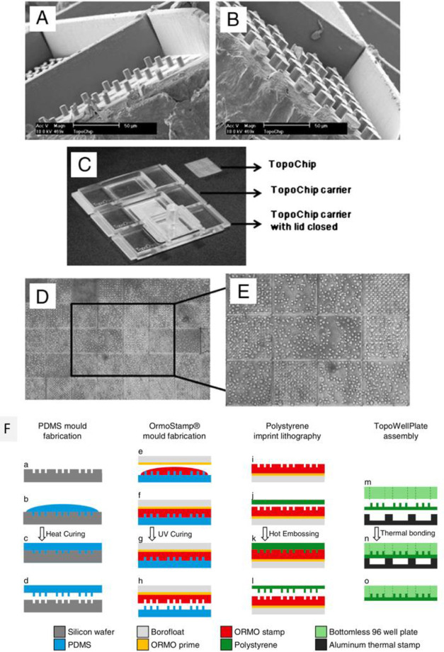 Figure 21