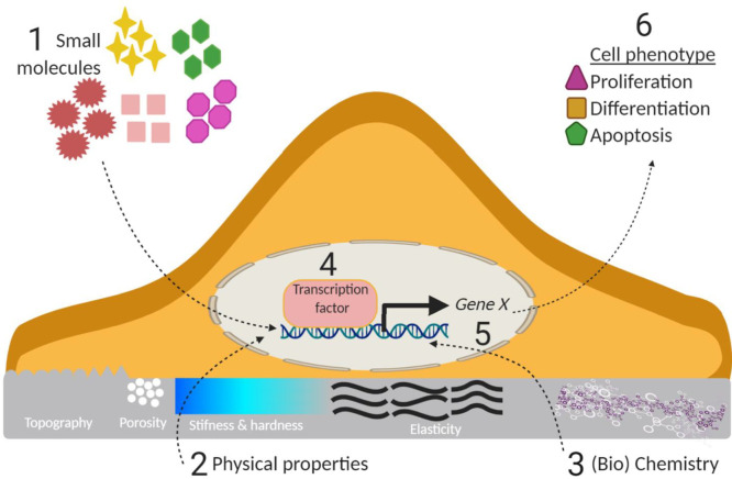 Figure 35