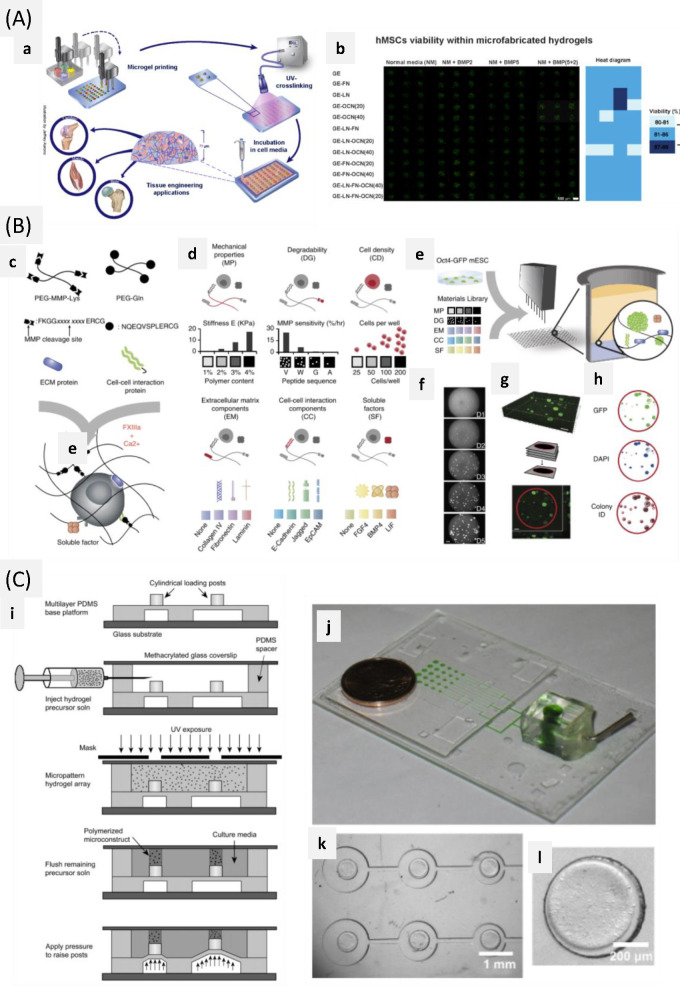 Figure 20