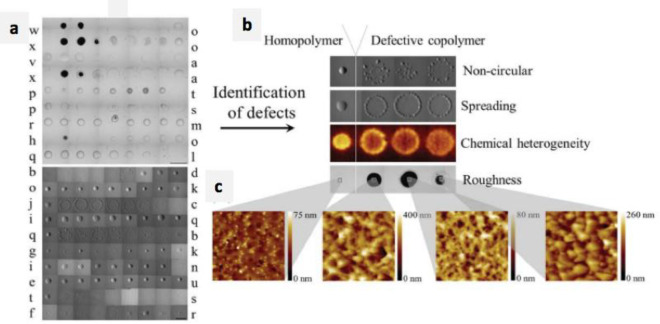 Figure 19