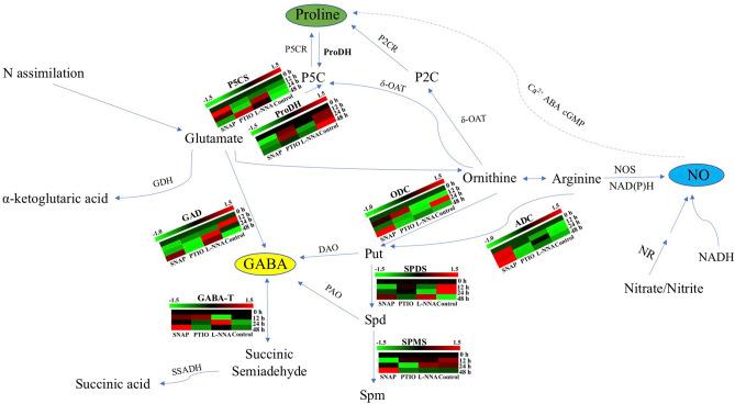 Figure 7