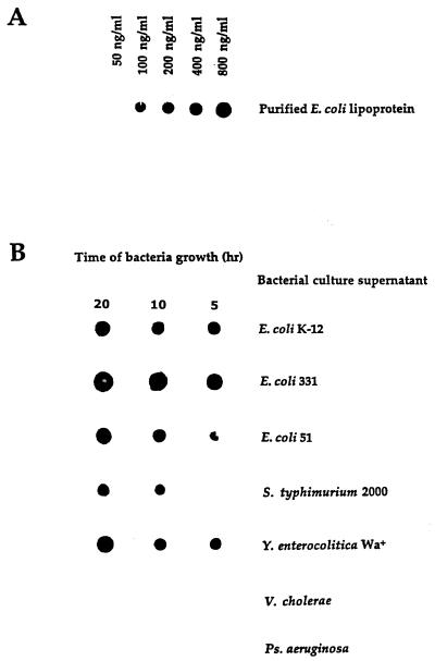 FIG. 6