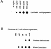 FIG. 7