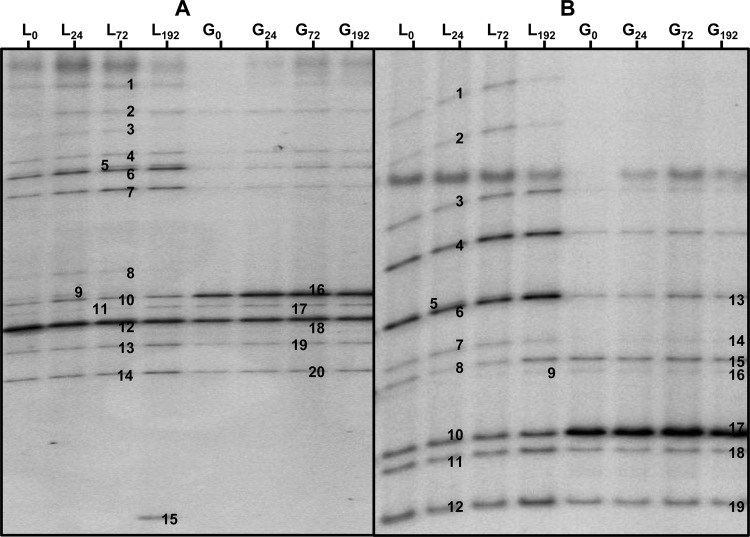 FIG 3