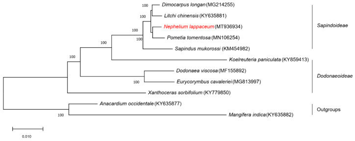 Figure 7