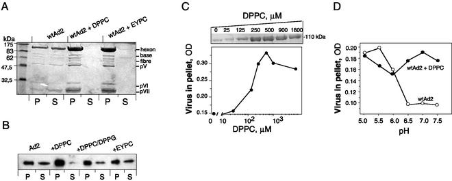 FIG. 5.