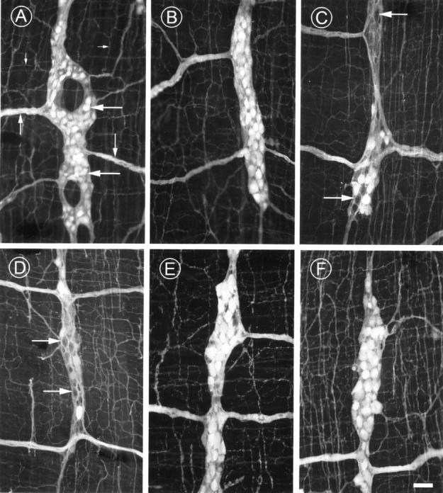 Figure 1  