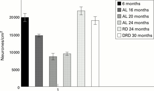 Figure 2  