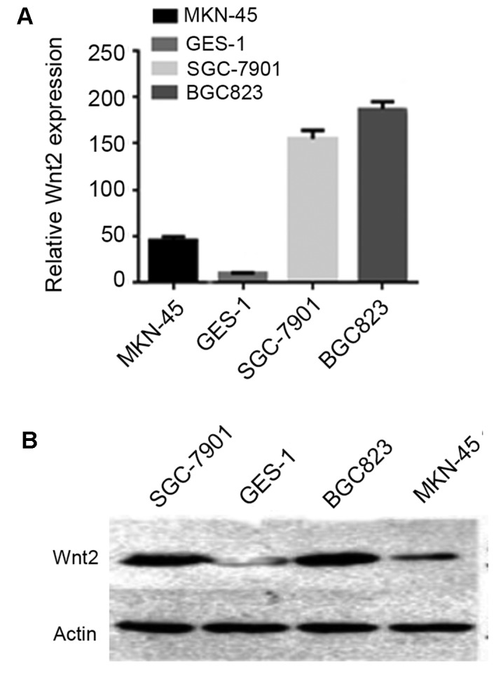 Figure 2.