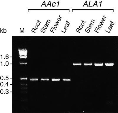 Figure 10.