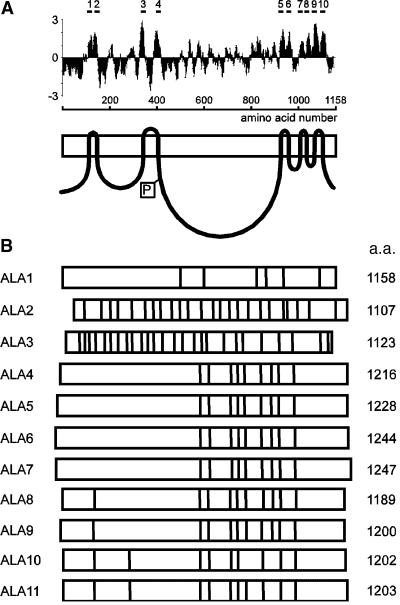 Figure 1.