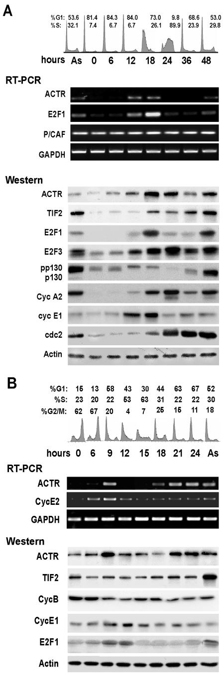 FIG. 5.