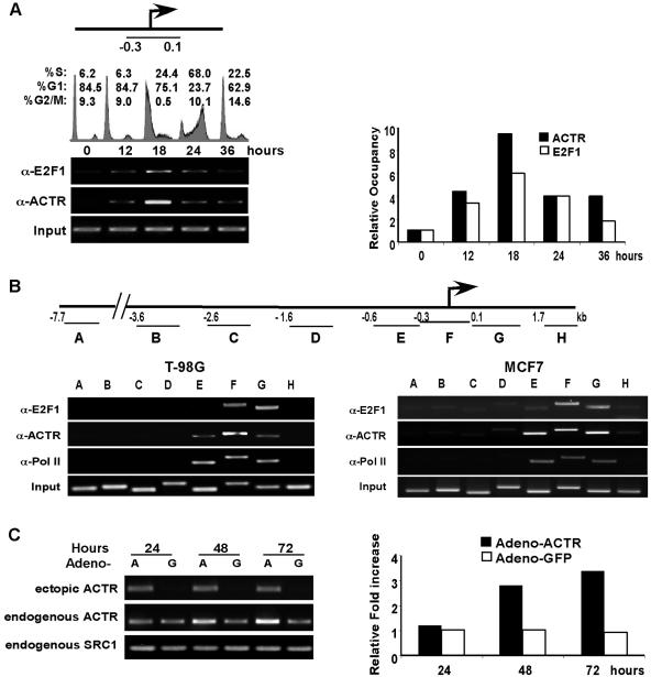 FIG. 7.