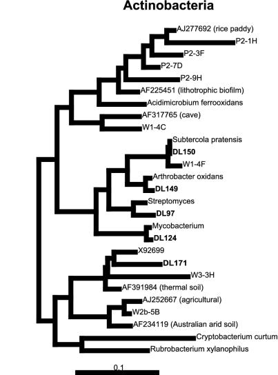 FIG. 9.