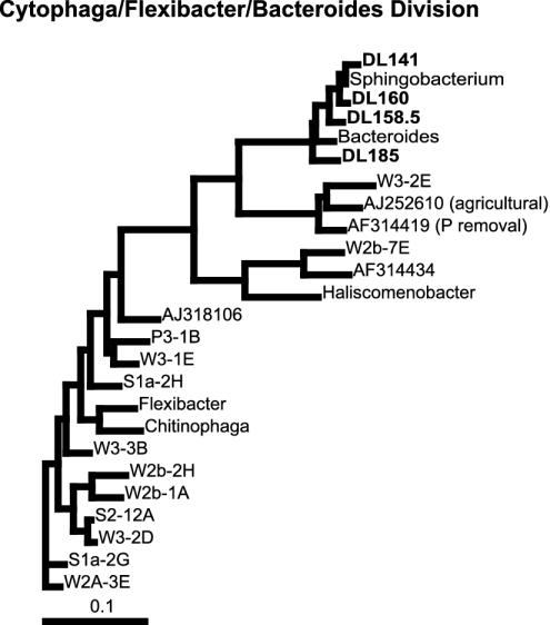 FIG. 8.