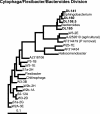 FIG. 8.