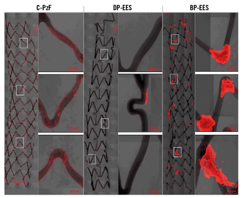 Figure 42