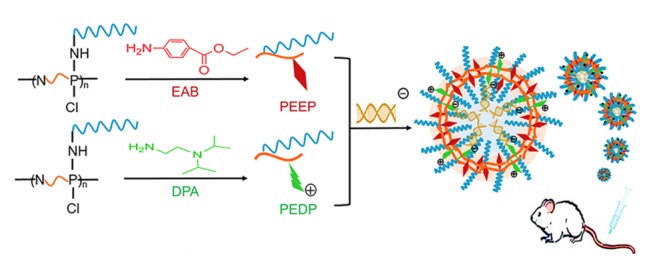 Figure 25