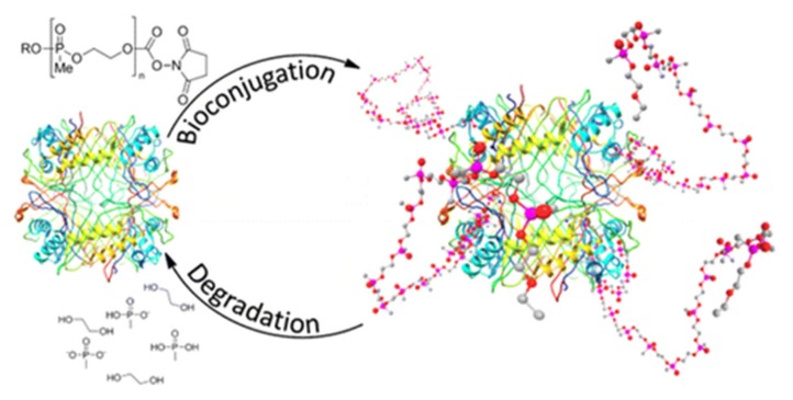 Figure 34