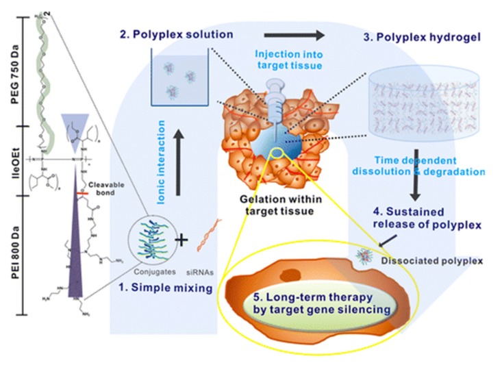 Figure 36