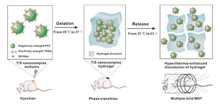 Figure 29