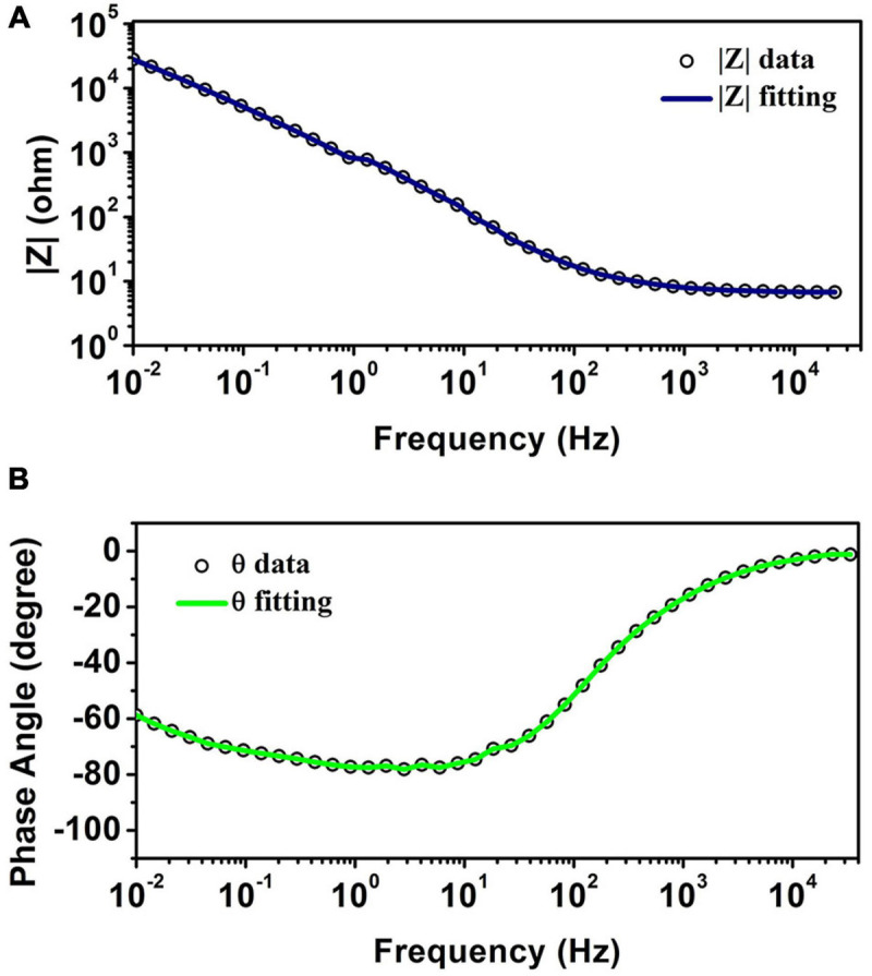 FIGURE 4