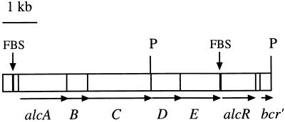 FIG. 5