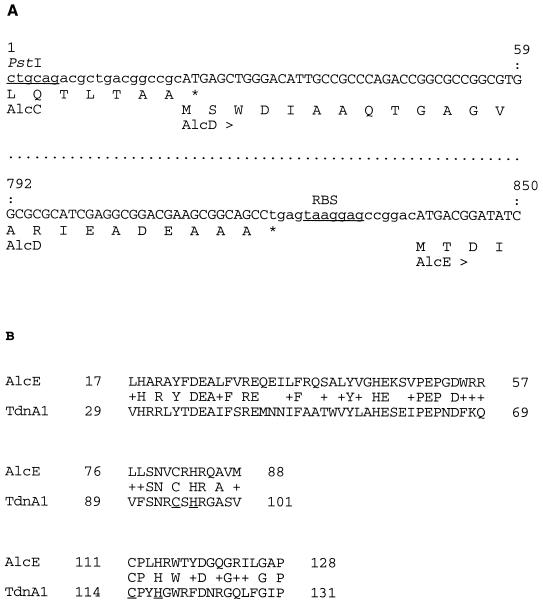 FIG. 6