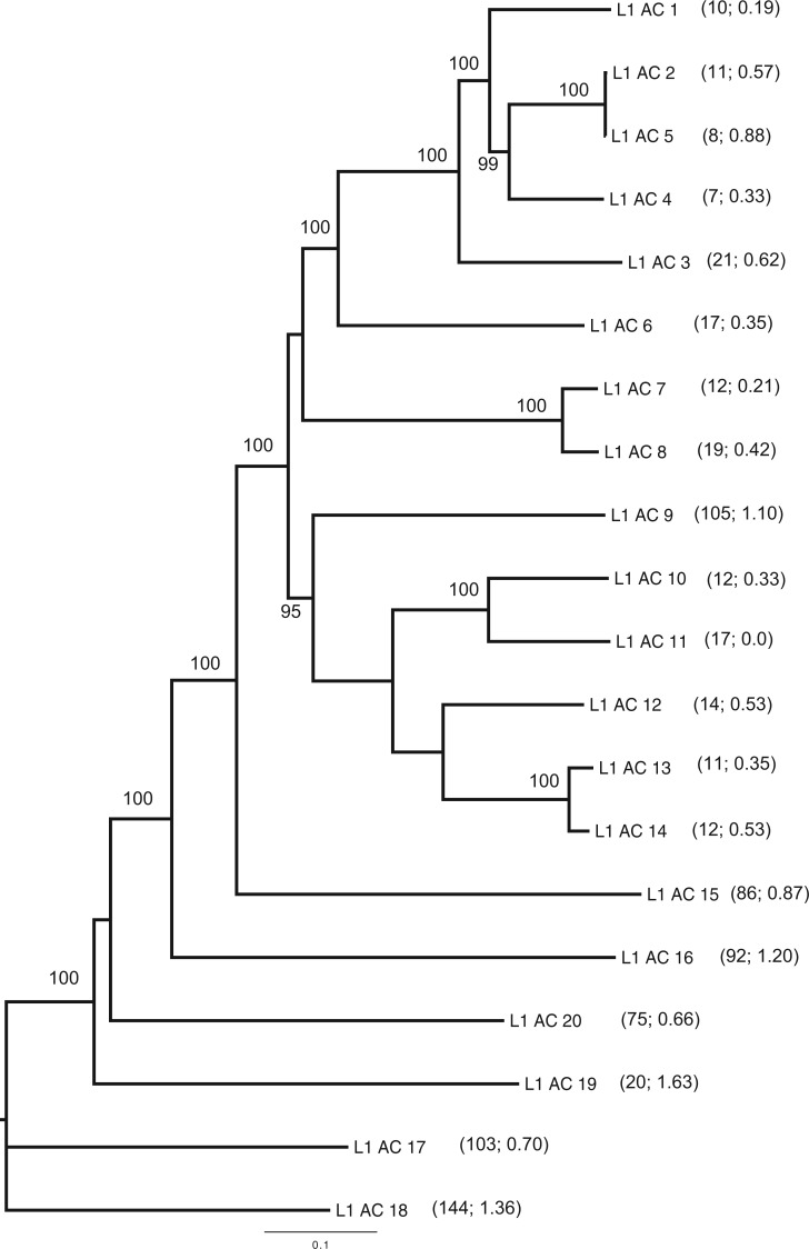 Fig. 1.—