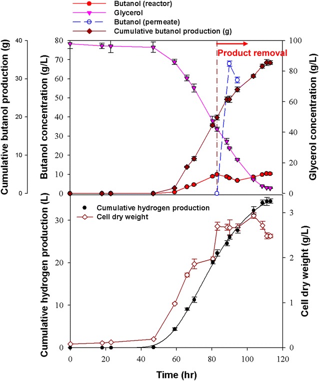 Fig. 4