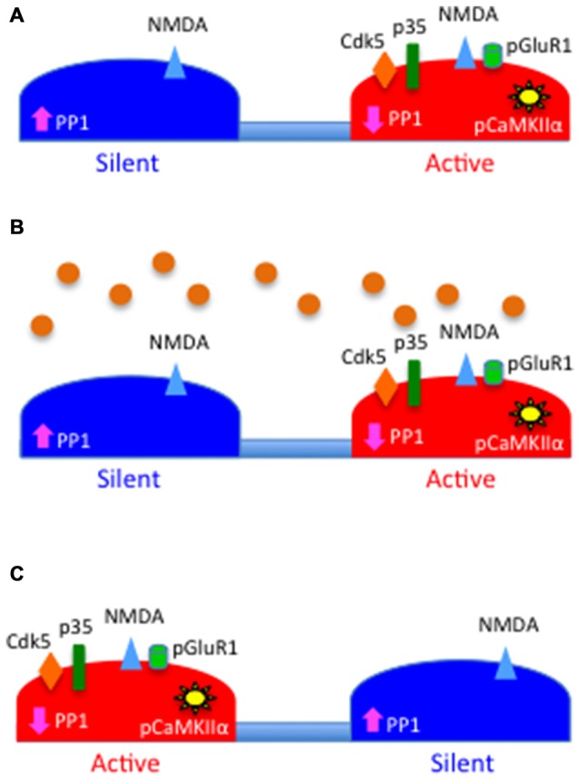 Figure 7