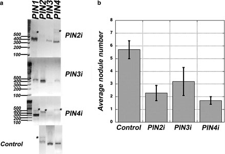 Figure 3