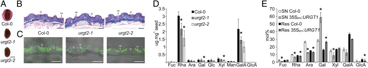 Fig. 5.