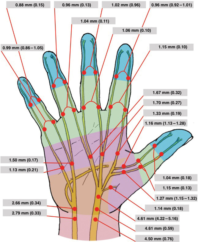 Fig. 2.