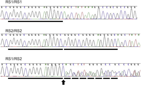 Figure 1