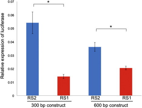 Figure 2