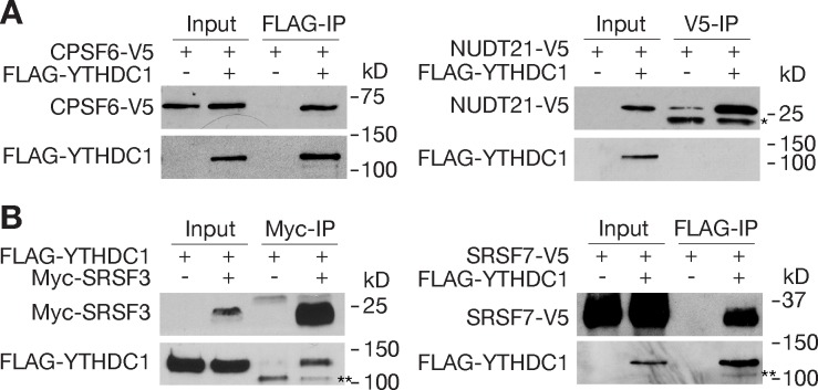 Fig 9