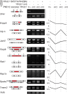 Fig 8