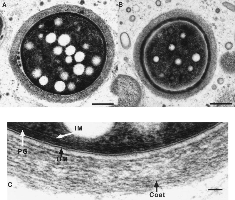 FIG. 9