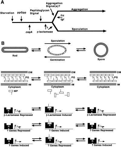 FIG. 11