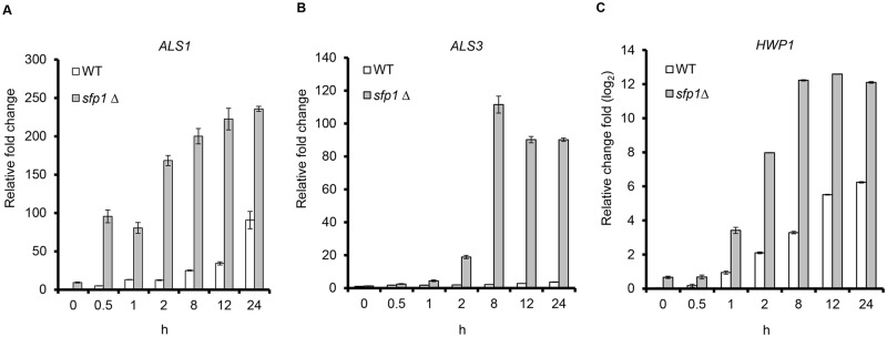 Fig 5