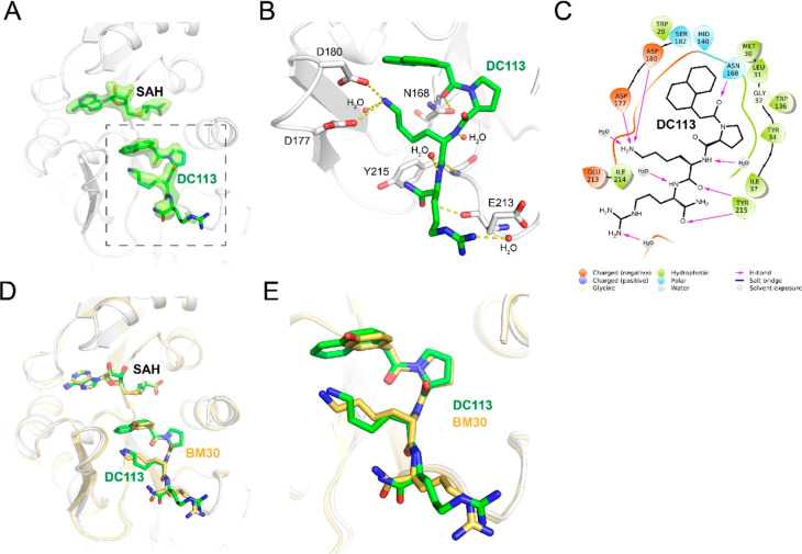 Figure 5