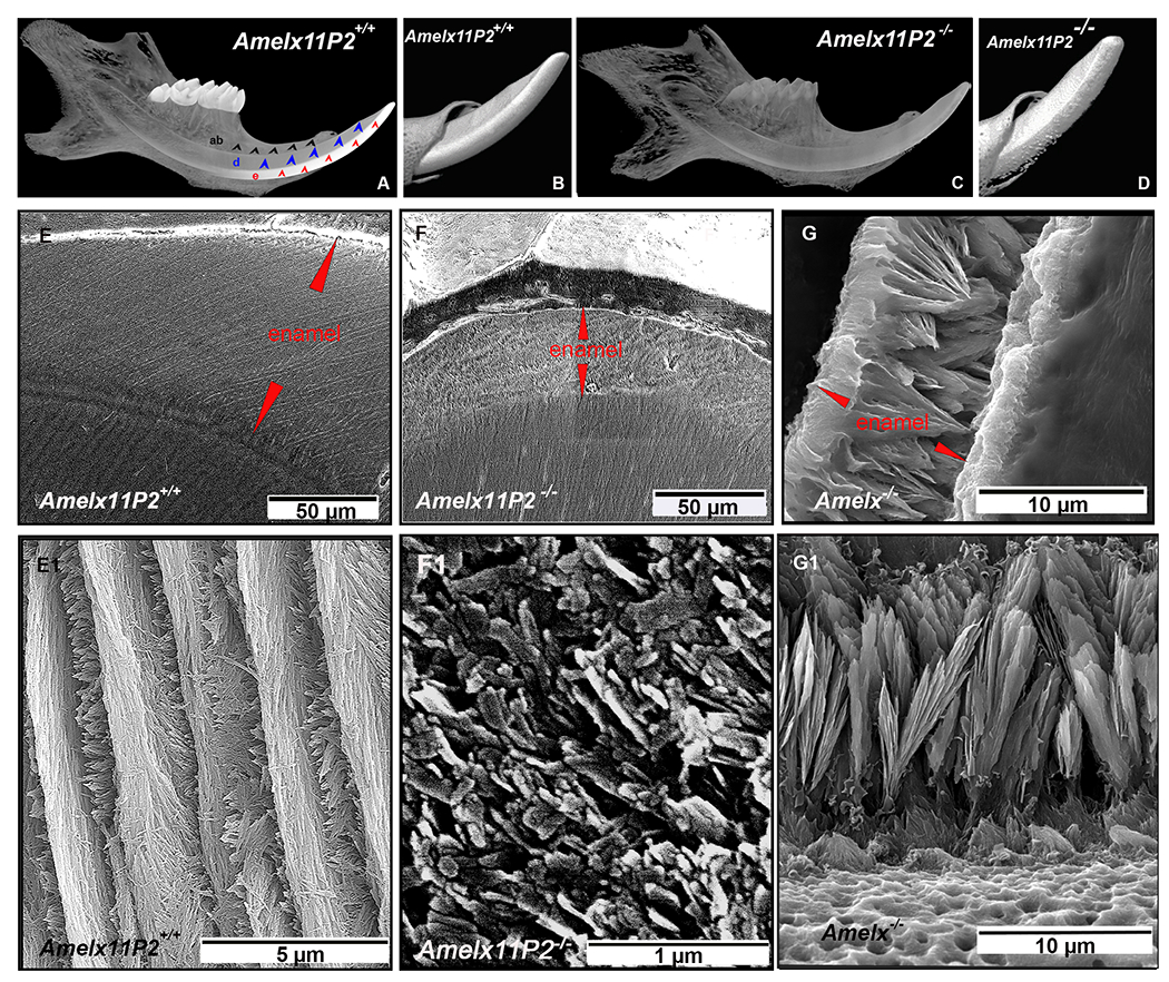 Fig.3.