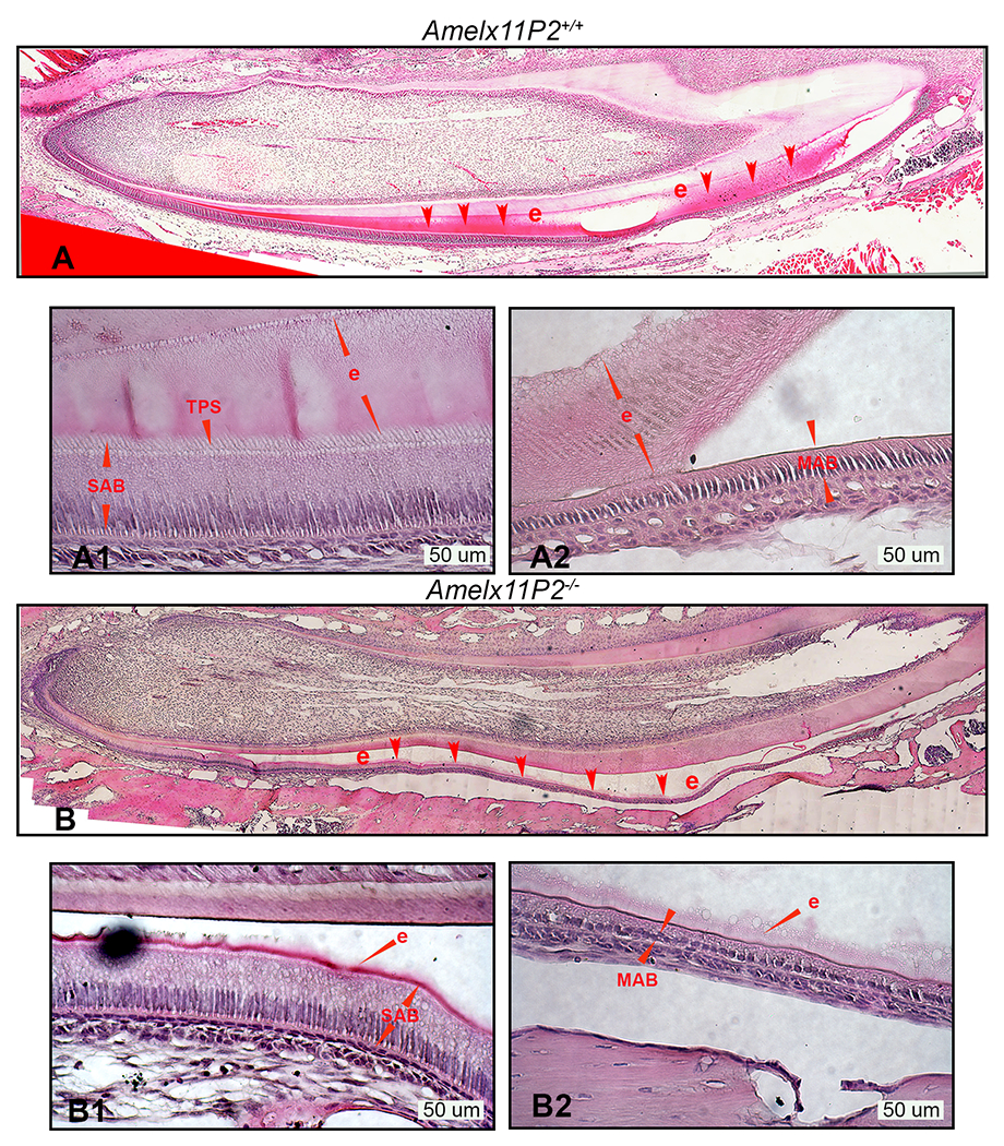 Fig.4.