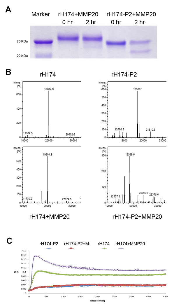 Fig.7.