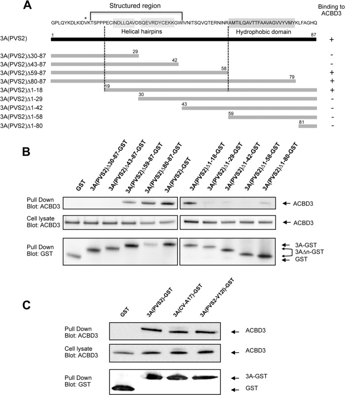 Fig 10