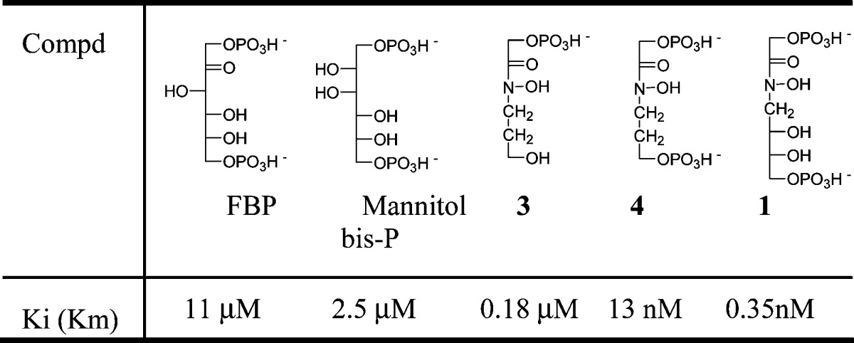 graphic file with name ml-2010-00017c_0006.jpg