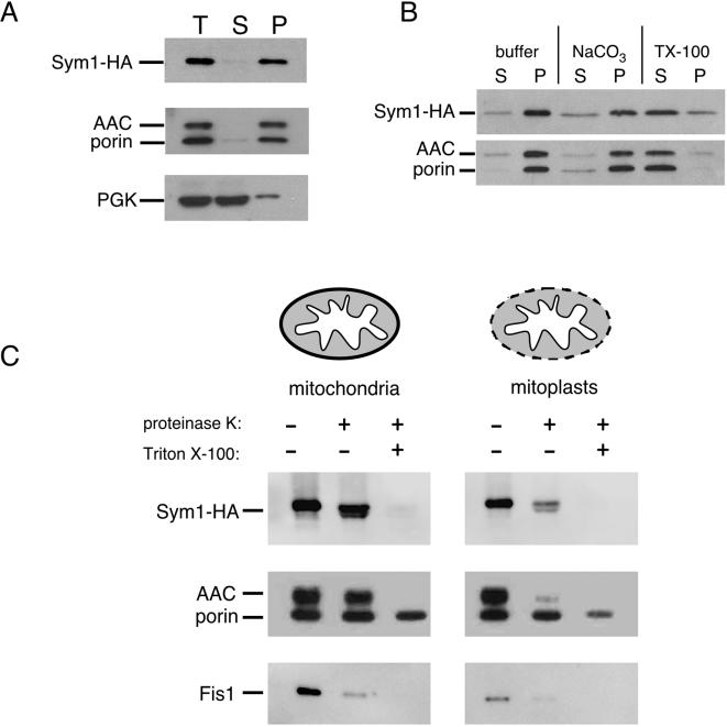 FIG. 6.