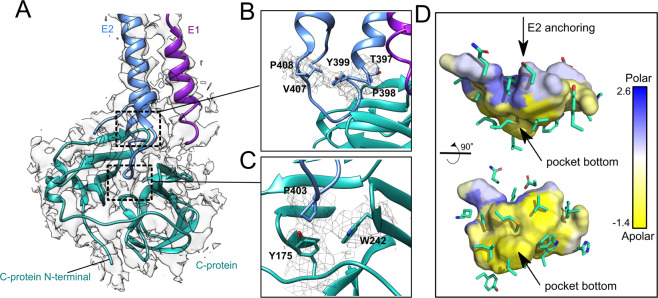 Fig. 7