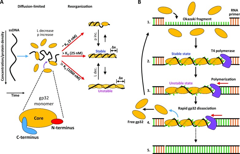 Figure 10.